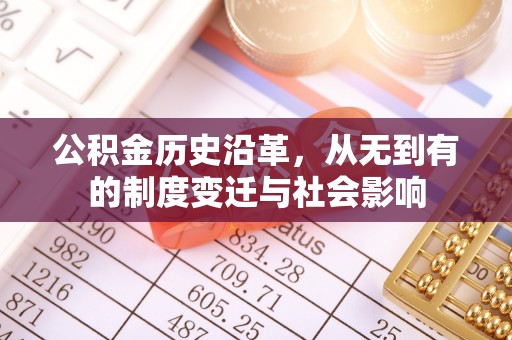 瑞穗公积金历史沿革，从无到有的制度变迁与社会影响
