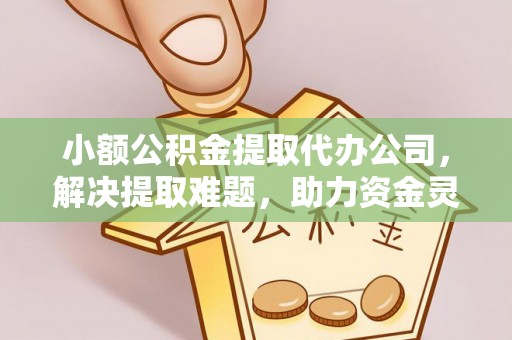 瑞穗小额公积金提取代办公司，解决提取难题，助力资金灵活使用