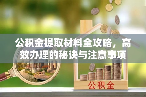 瑞穗公积金提取材料全攻略，高效办理的秘诀与注意事项