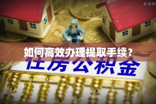 瑞穗如何高效办理提取手续？