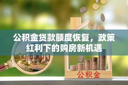 瑞穗公积金贷款额度恢复，政策红利下的购房新机遇