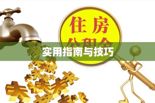 瑞穗实用指南与技巧