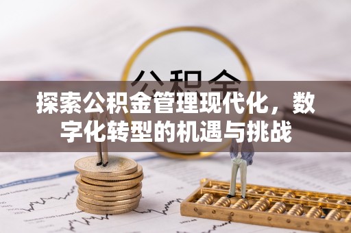 瑞穗探索公积金管理现代化，数字化转型的机遇与挑战