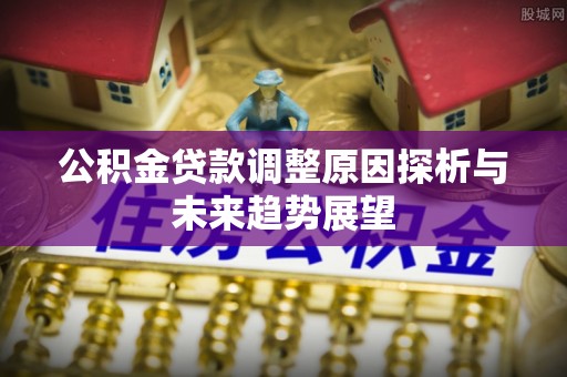 瑞穗公积金贷款调整原因探析与未来趋势展望