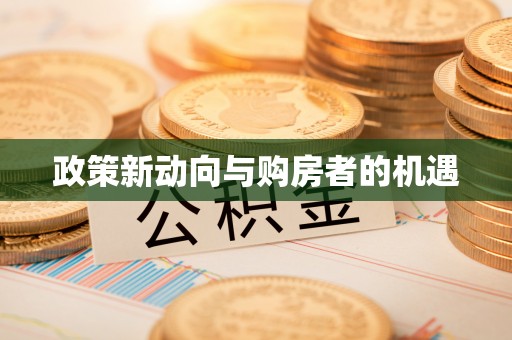瑞穗政策新动向与购房者的机遇