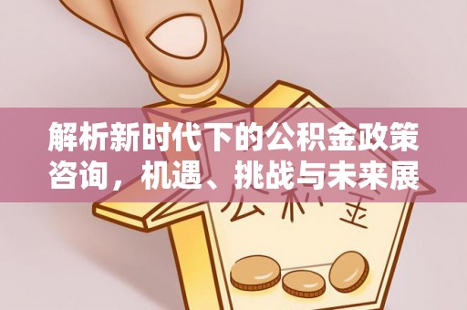 瑞穗解析新时代下的公积金政策咨询，机遇、挑战与未来展望