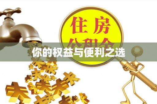 瑞穗你的权益与便利之选
