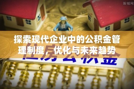 瑞穗探索现代企业中的公积金管理制度，优化与未来趋势