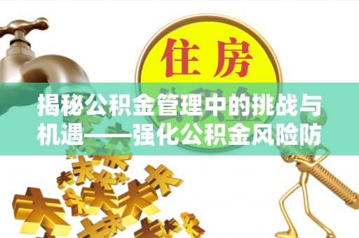 瑞穗揭秘公积金管理中的挑战与机遇——强化公积金风险防控的多维策略
