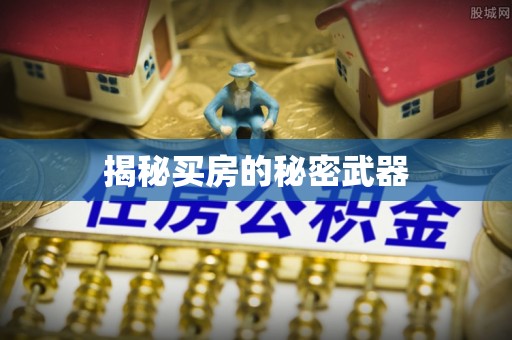 瑞穗揭秘买房的秘密武器