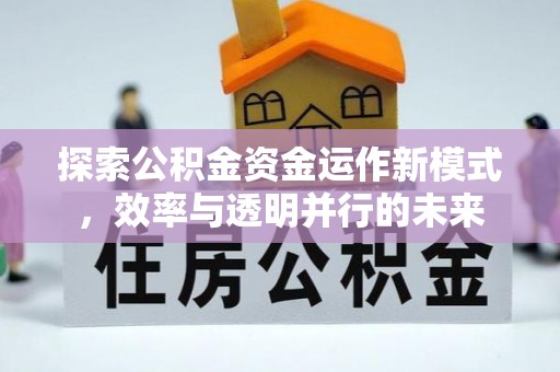 瑞穗探索公积金资金运作新模式，效率与透明并行的未来