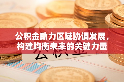 瑞穗公积金助力区域协调发展，构建均衡未来的关键力量