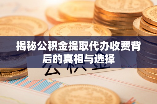 瑞穗揭秘公积金提取代办收费背后的真相与选择