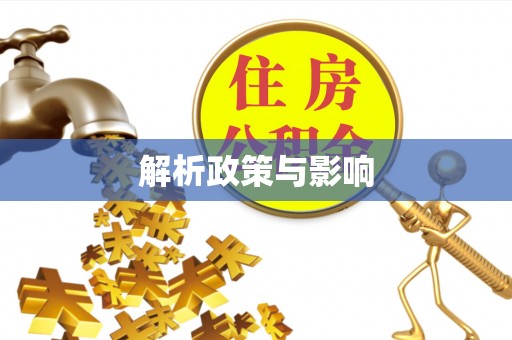 瑞穗解析政策与影响