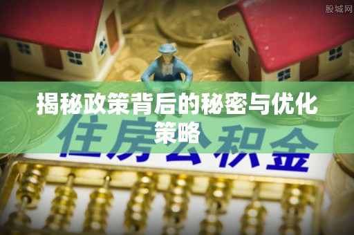 瑞穗揭秘政策背后的秘密与优化策略