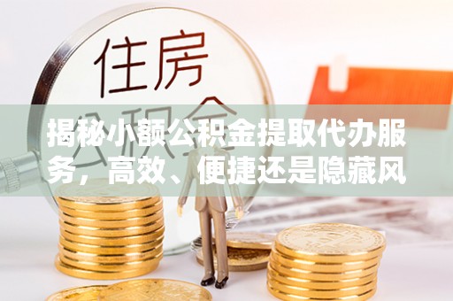 瑞穗揭秘小额公积金提取代办服务，高效、便捷还是隐藏风险？