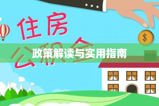 瑞穗政策解读与实用指南