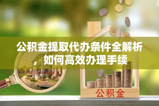瑞穗公积金提取代办条件全解析，如何高效办理手续