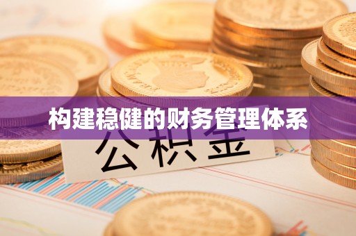 瑞穗构建稳健的财务管理体系