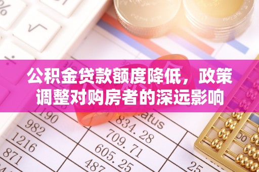 瑞穗公积金贷款额度降低，政策调整对购房者的深远影响