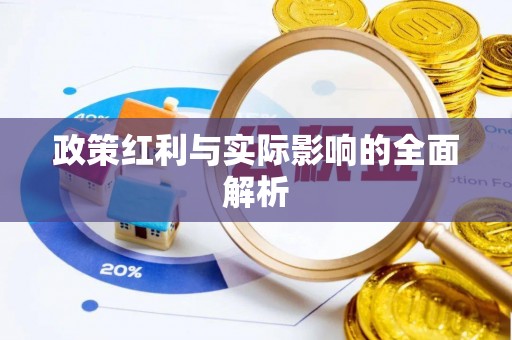 瑞穗政策红利与实际影响的全面解析