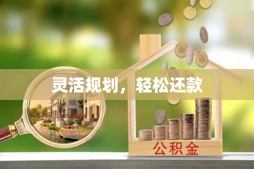 瑞穗灵活规划，轻松还款
