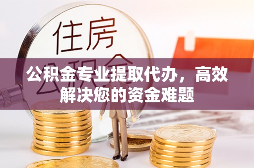瑞穗公积金专业提取代办，高效解决您的资金难题