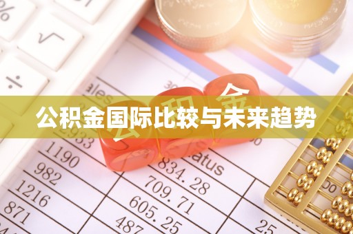 瑞穗公积金国际比较与未来趋势