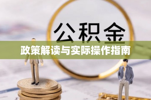 瑞穗政策解读与实际操作指南