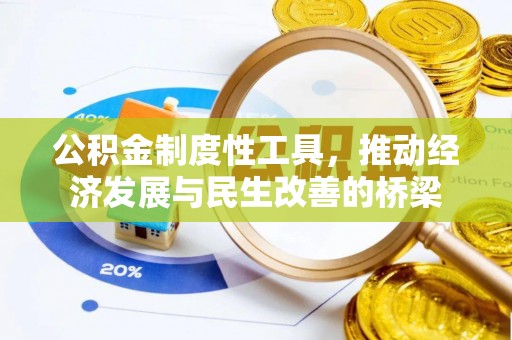 瑞穗公积金制度性工具，推动经济发展与民生改善的桥梁