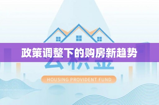瑞穗政策调整下的购房新趋势