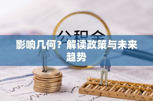 瑞穗影响几何？解读政策与未来趋势