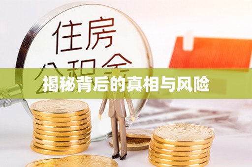 瑞穗揭秘背后的真相与风险