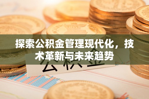 瑞穗探索公积金管理现代化，技术革新与未来趋势