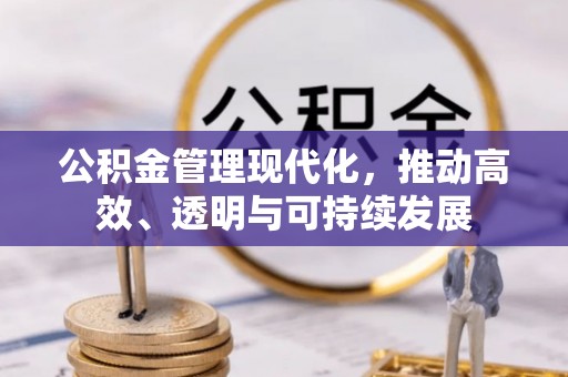 瑞穗公积金管理现代化，推动高效、透明与可持续发展