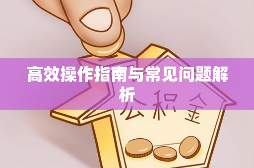 瑞穗高效操作指南与常见问题解析