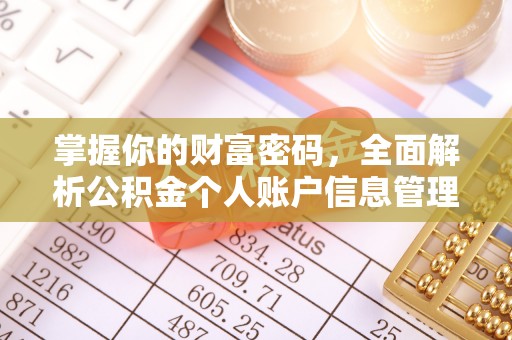瑞穗掌握你的财富密码，全面解析公积金个人账户信息管理与优化
