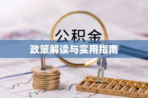 瑞穗政策解读与实用指南