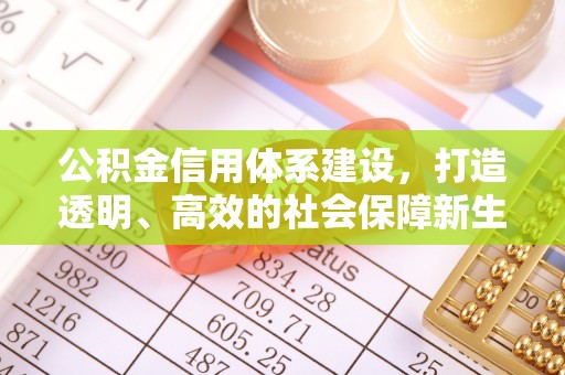 瑞穗公积金信用体系建设，打造透明、高效的社会保障新生态