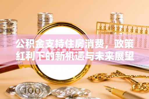 瑞穗公积金支持住房消费，政策红利下的新机遇与未来展望