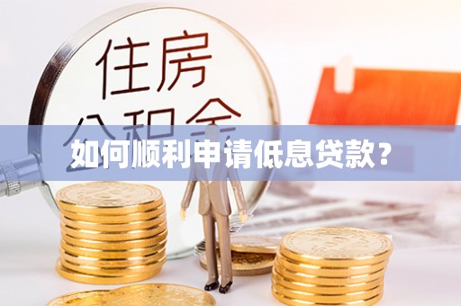 瑞穗如何顺利申请低息贷款？