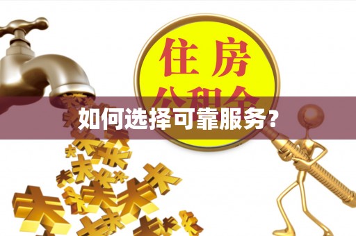 瑞穗如何选择可靠服务？