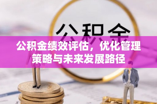 瑞穗公积金绩效评估，优化管理策略与未来发展路径