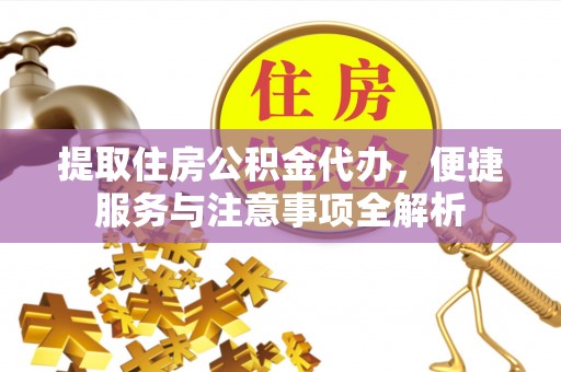 瑞穗提取住房公积金代办，便捷服务与注意事项全解析