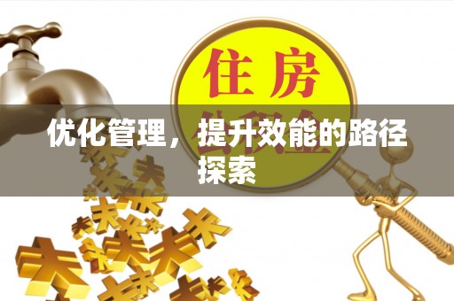 瑞穗优化管理，提升效能的路径探索
