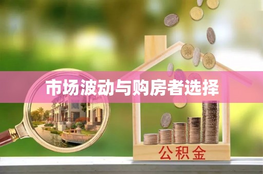 瑞穗市场波动与购房者选择