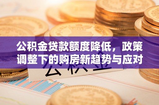 瑞穗公积金贷款额度降低，政策调整下的购房新趋势与应对策略