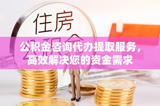 瑞穗公积金咨询代办提取服务，高效解决您的资金需求