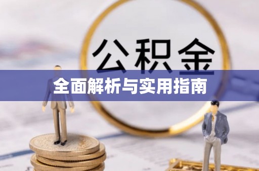 瑞穗全面解析与实用指南
