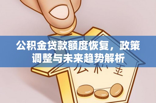 瑞穗公积金贷款额度恢复，政策调整与未来趋势解析